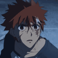 Shirou Emiya (Miyu Verse)