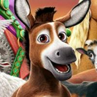 Bo the Donkey