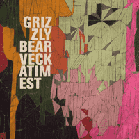 Grizzly Bear - Foreground