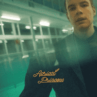 Rex Orange County - Apricot Princess