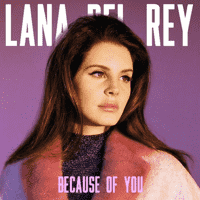 Lana Del Rey - Because of You