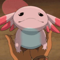 Meque (Axolotl)