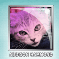 Addison Hammond