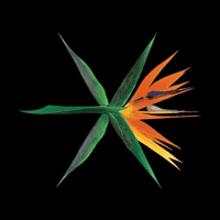 EXO - Ko Ko Bop