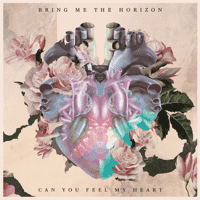 Bring Me the Horizon - Can You Feel My Heart