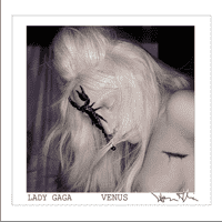 Lady Gaga - Venus