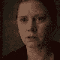 The Woman in the Window (2021)