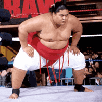 Yokozuna