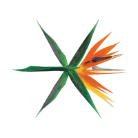 EXO - Diamond