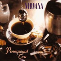 Nirvana - Pennyroyal Tea