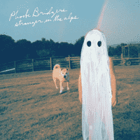 Phoebe Bridgers - Killer