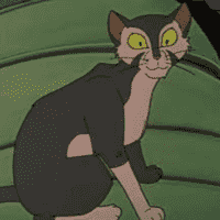 Felidae (1994)