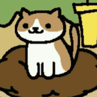 Cocoa