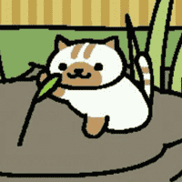 Macchiato