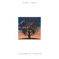 Talk Talk - New Grass