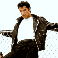 Danny Zuko