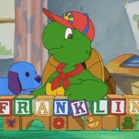 Franklin Turtle