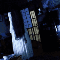 Sadako vs. Kayako