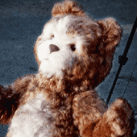 Teddy