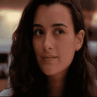 Ziva David