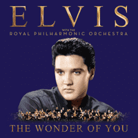 Elvis Presley - The Wonder of You