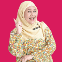 Puan Aida