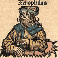 Xenophilus