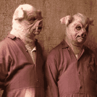 Pig Slaves