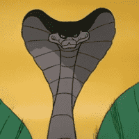 Nag