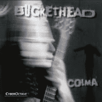 Buckethead - Big Sur Moon