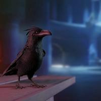 Crow
