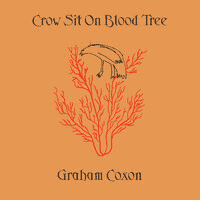 Graham Coxon - Crow Sit on Blood Tree