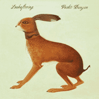 Vashti Bunyan - Lookaftering