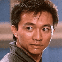 Wang Chi