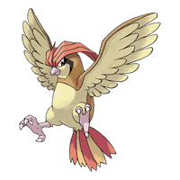 Pidgeotto (Pigeon)