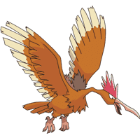 Fearow (Onidrill)