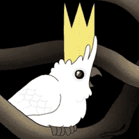 The Cockatoo (The Bird)