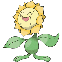 Sunflora (Kimawari)