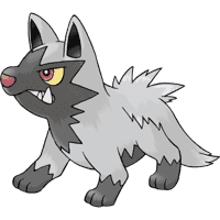 Poochyena (Pochiena)