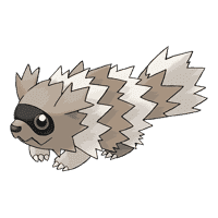 Zigzagoon (Jiguzaguma)