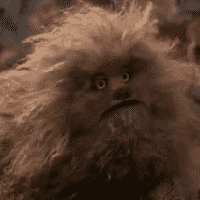 Fizzgig