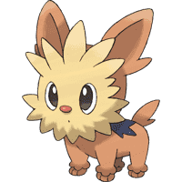 Lillipup (Yorterrie)