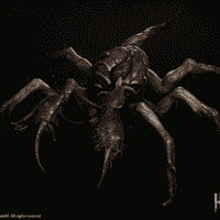The Spider