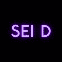 SEI D