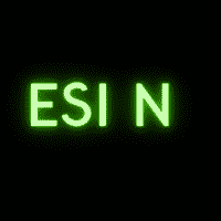 ESI N