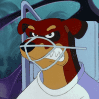 Muzzle
