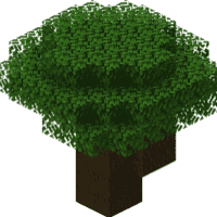 Dark Oak Tree (plant)