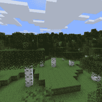 Birch Forest (biome)