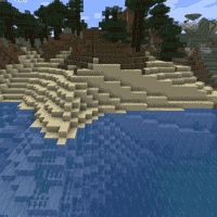 Beach (biome)