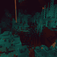 Warped Forest (biome)